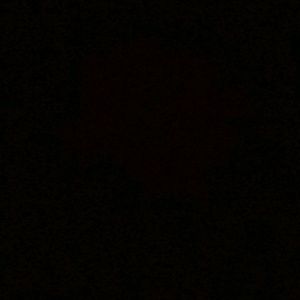 Meet your Posher, Clarissa